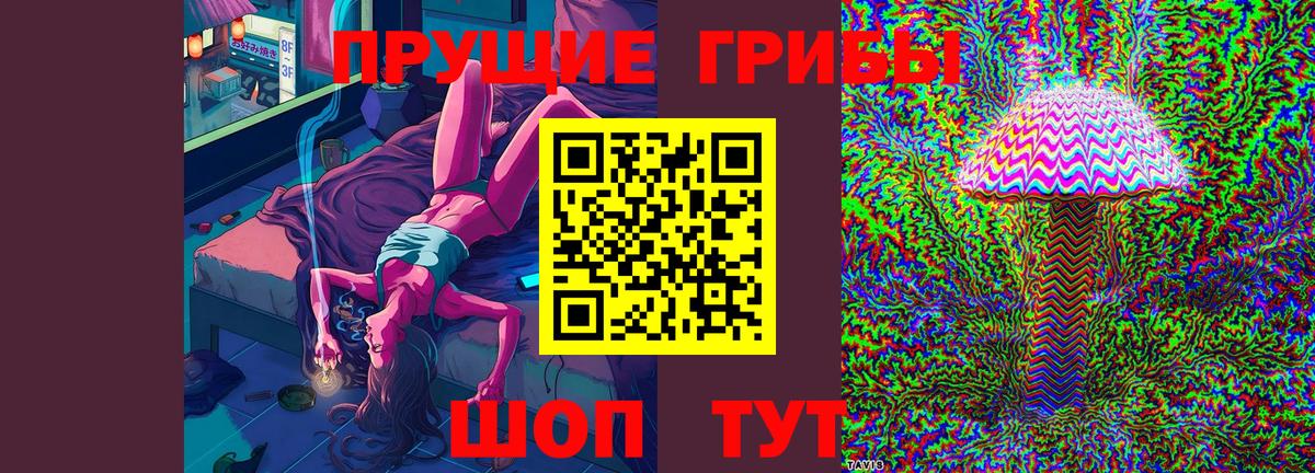 Псилоцибиновые грибы GOLDEN TEACHER  Вход с VPN  Карталы 