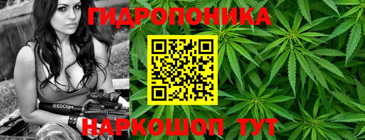 Канабис Bruce Banner  Вход с VPN  Канабис LSD WEED  Карталы  Марихуана SATIVA & INDICA 
